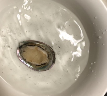 凍ったままの鮑を塩水で洗います